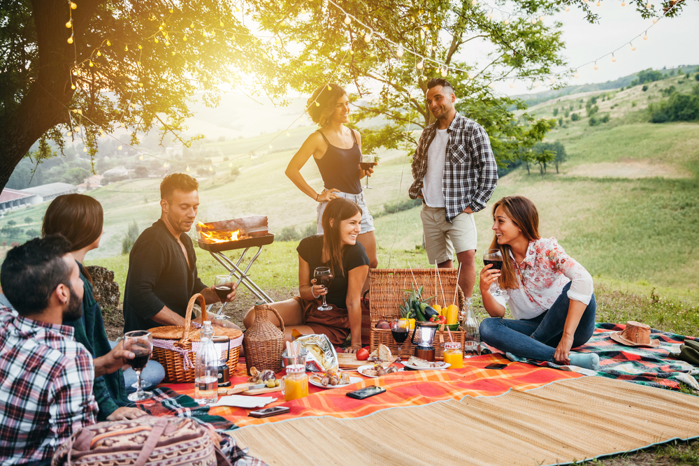 Picnic,In,The,Countryside.,Group,Of,Young,Friends,,At,Sunset
