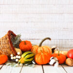 Thanksgiving,Cornucopia,Filled,With,Autumn,Vegetables,And,Pumpkins,Against,A