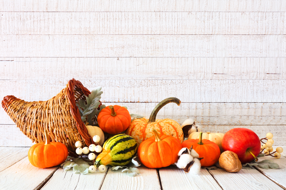 Thanksgiving,Cornucopia,Filled,With,Autumn,Vegetables,And,Pumpkins,Against,A